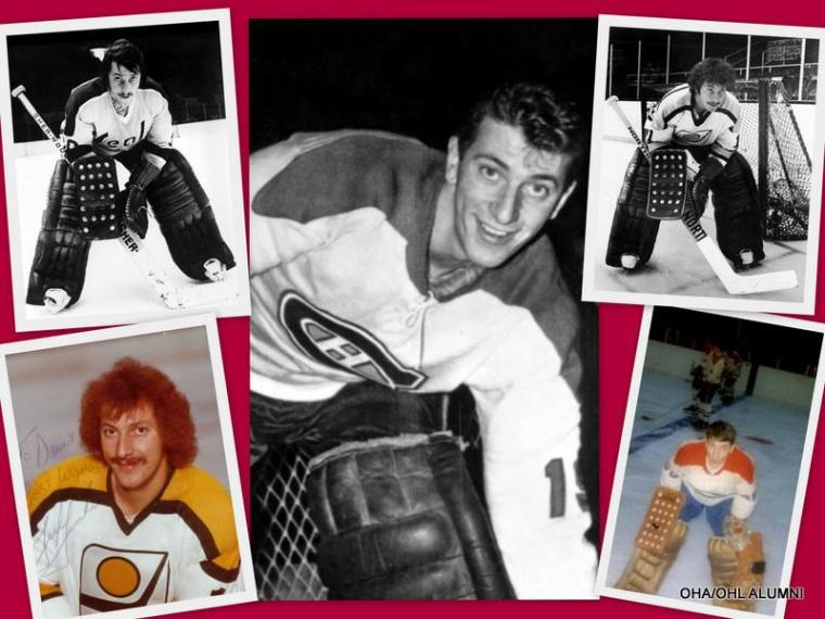 ted colage of hockey pics in one